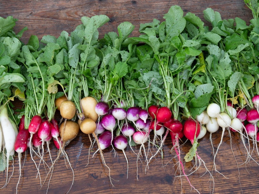 Zima? Nevadí! Co pěstovat ve skleníku na podzim?