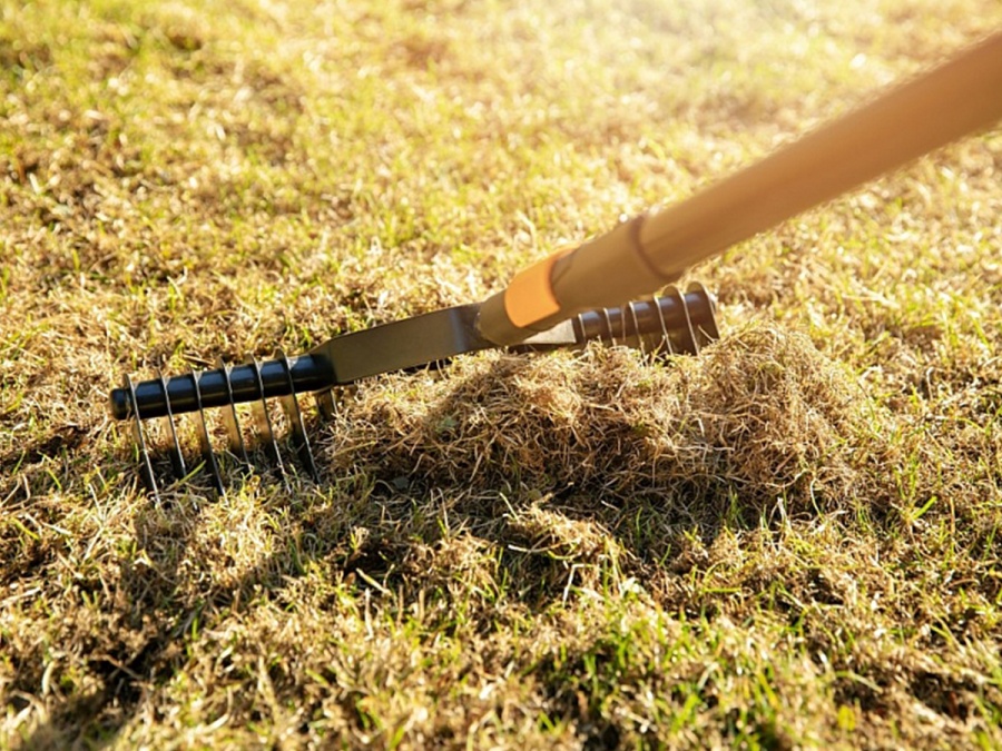 Kompletní průvodce zazimováním zahrady