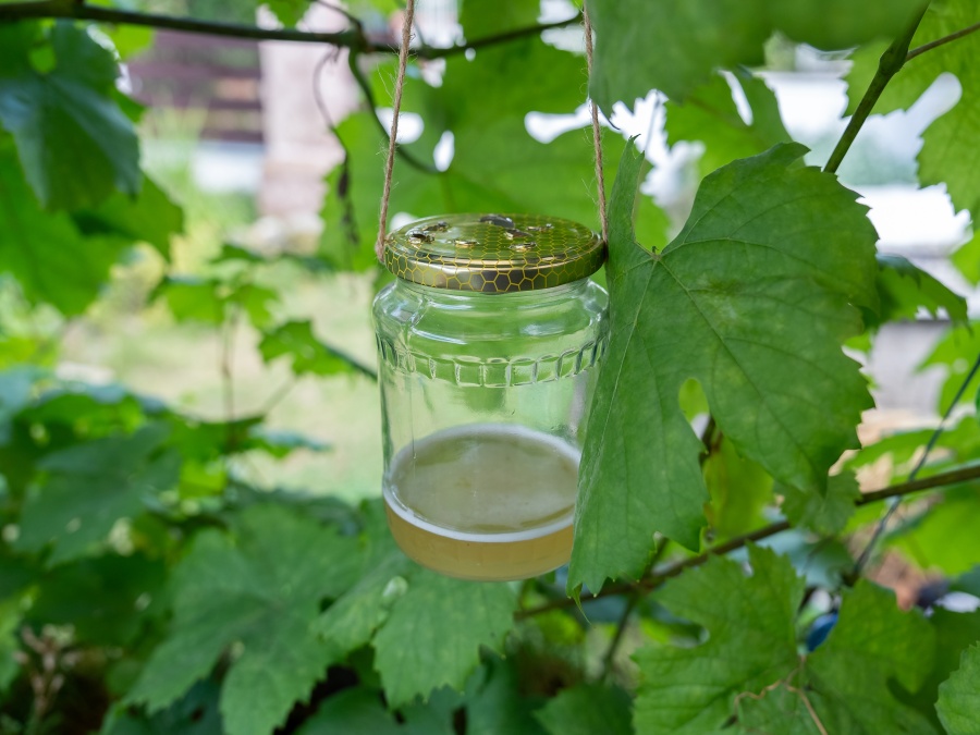 Overené metódy, ako sa zbaviť ôs