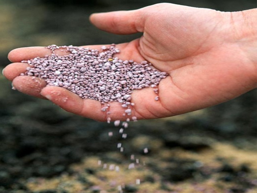 Zbohom škodcovia alebo dezinfekcia skleníka