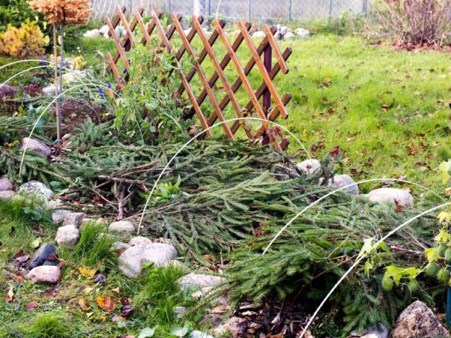 Kompletný sprievodca zazimovaním záhrady