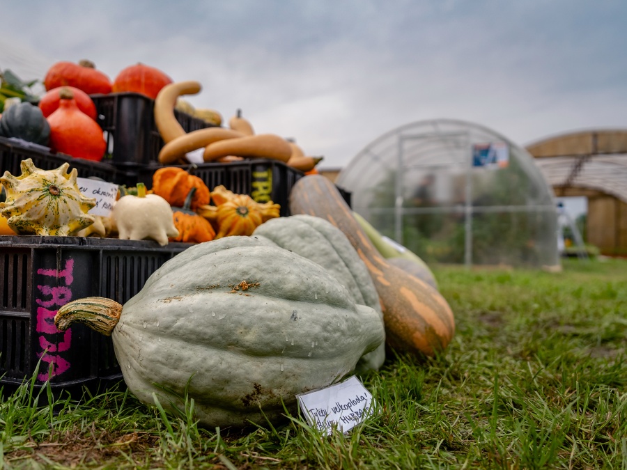 Náš autonomní skleník na hortibotickém dni