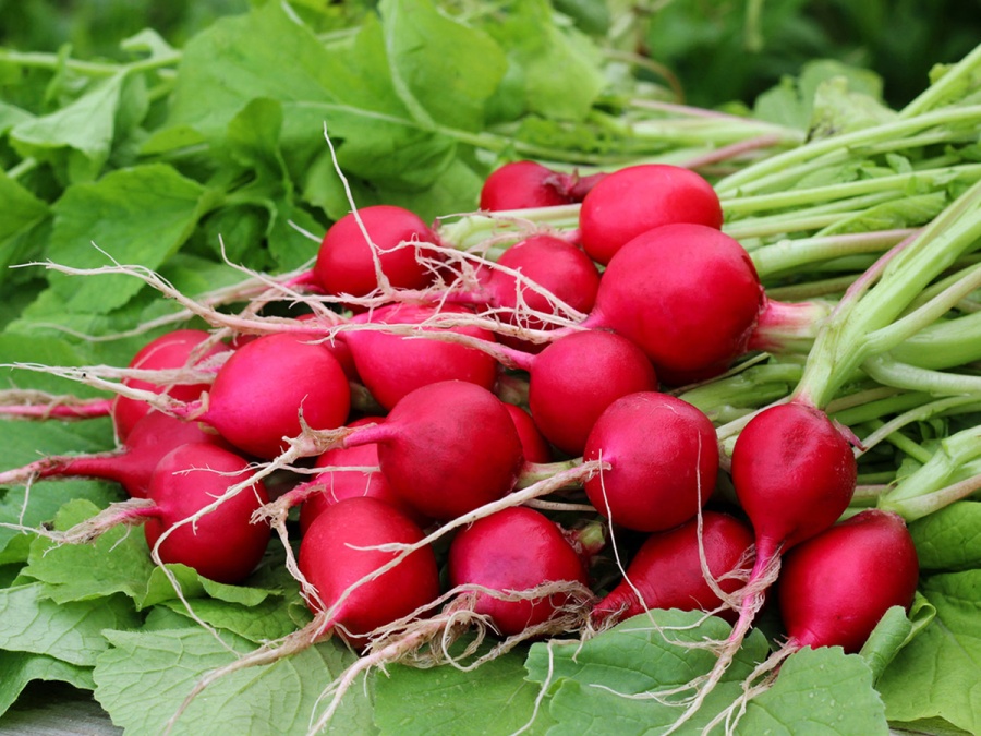 Letom to v skleníku nekončí