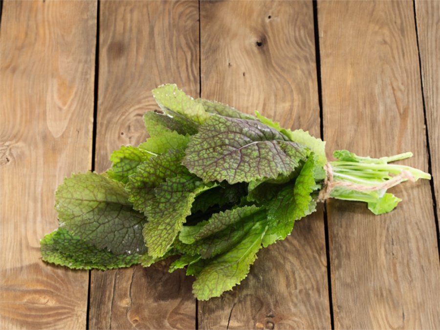 Téli? Nem számít! Mit kell termeszteni az üvegházban ősszel?