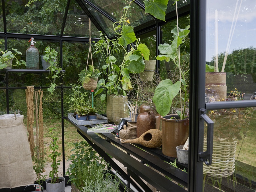 Pavilón Halls Qube Square