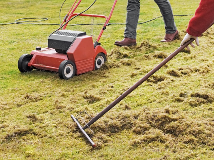 Kompletní průvodce zazimováním zahrady