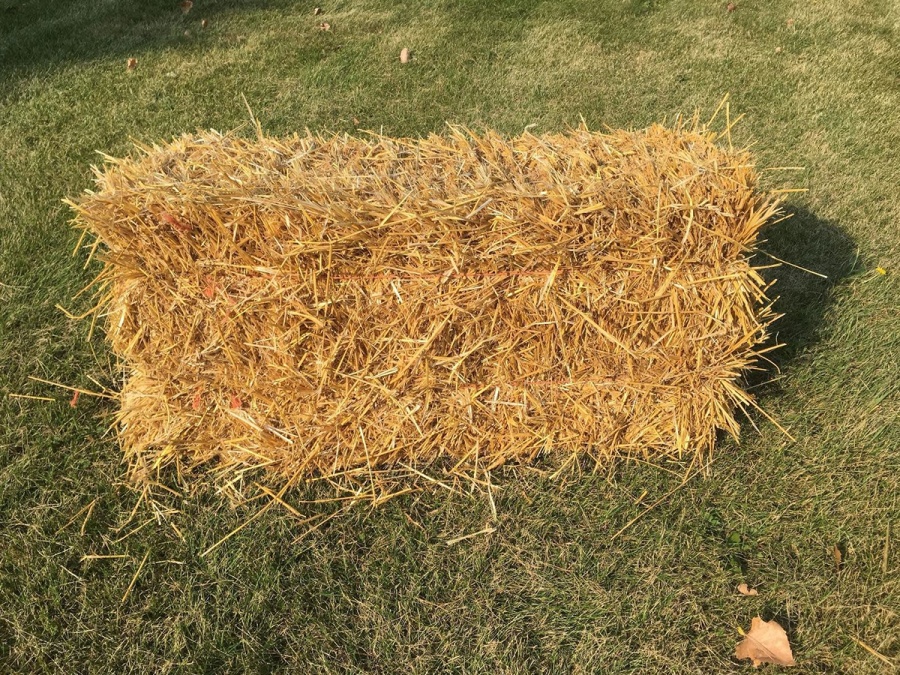 Kompletní průvodce zazimováním zahrady